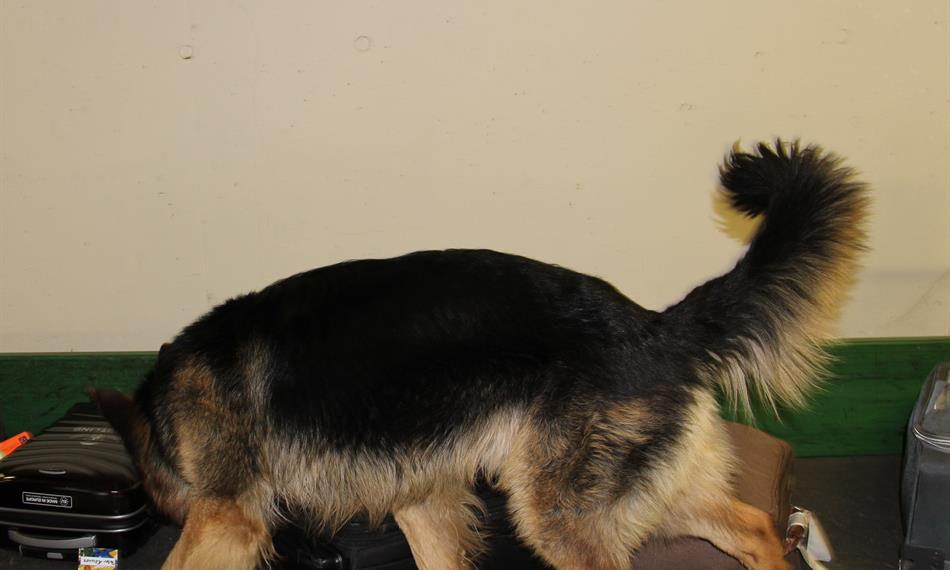 2016-3-9-114foto 12.jpg